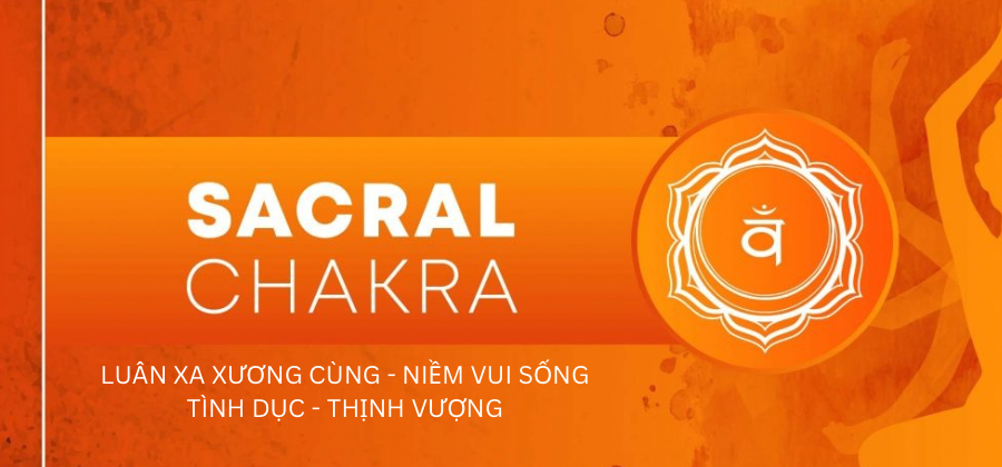 Luân xa 2 cân bằng sẽ giúp bạn có được nguồn năng lượng sáng tạo dồi dào, tràn đầy nhựa sống