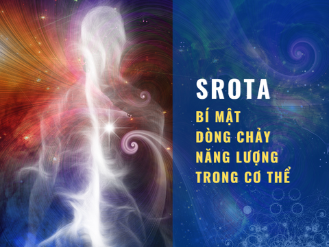 Năng Lượng, Luân Xa và Hệ Thống Kênh Dẫn: Bí Mật Dòng Chảy Năng Lượng Trong Cơ Thể