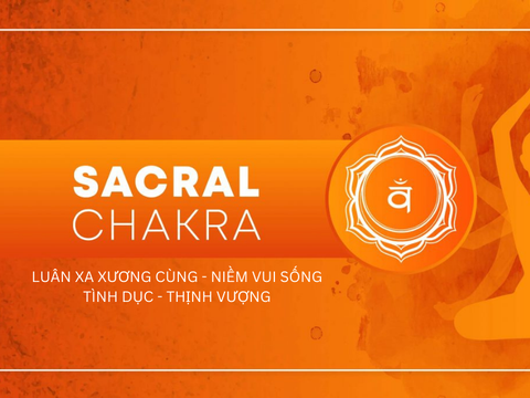 Luân Xa 2: Chuyển Hóa Năng Lượng & Khai Mở Niềm Vui Sống