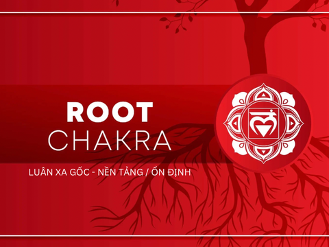 Luân Xa Gốc: Chìa Khóa Cân Bằng Tâm Thức và Chữa Lành Tổn Thương Tâm Lý